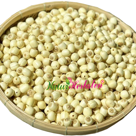Lotus Seeds