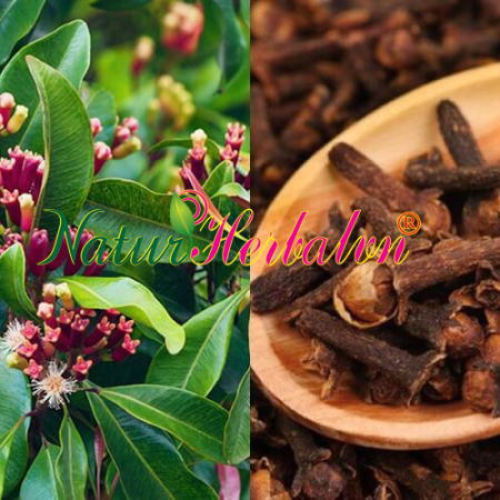 Cloves
