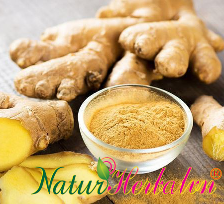 Ginger