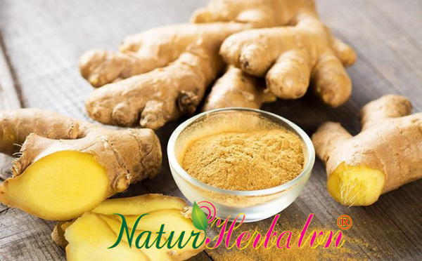 Ginger