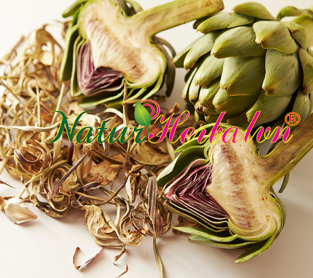 Artichoke Artichaut