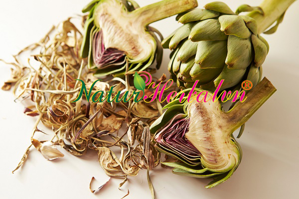 Artichoke Artichaut