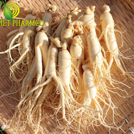 The Ancient Power of Korean Ginseng